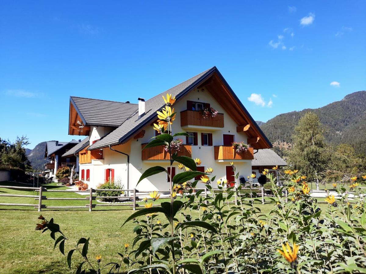 Camporosso  B&B Al Buondi المظهر الخارجي الصورة